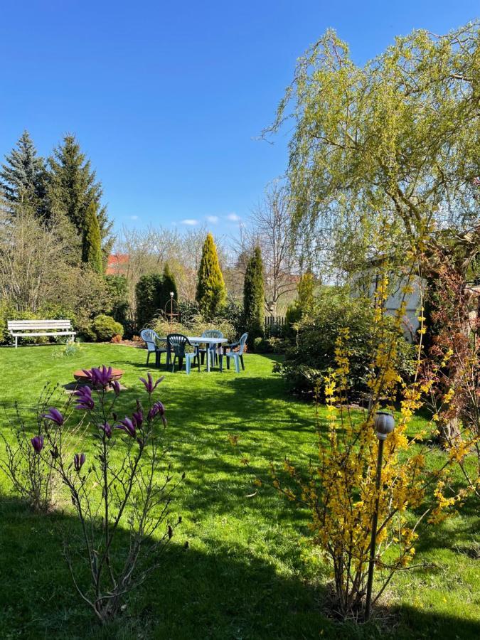 Gemuetliches Appartement - 20 Min Bis Dresden Leppersdorf Ngoại thất bức ảnh